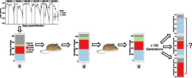 https://cdn.ncbi.nlm.nih.gov/pmc/blobs/3ed3/5292797/bd349c40d64f/13071_2016_1964_Fig2_HTML.jpg