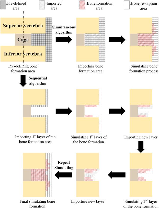 https://cdn.ncbi.nlm.nih.gov/pmc/blobs/3ed6/10076720/5a35386a23b0/fbioe-11-1041973-g005.jpg