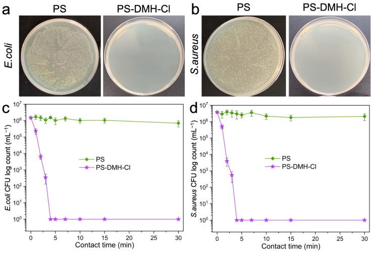 https://cdn.ncbi.nlm.nih.gov/pmc/blobs/3ed6/11243515/0928eb5e7c74/molecules-29-02980-g007.jpg