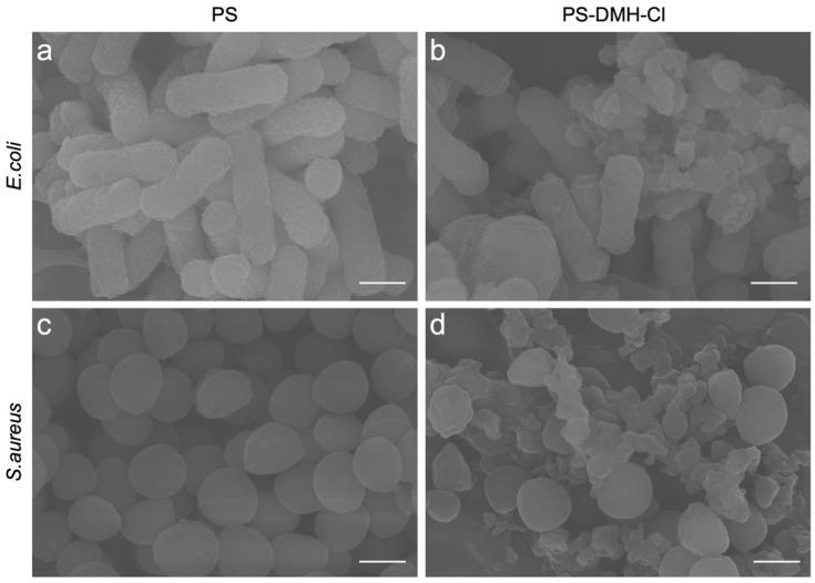 https://cdn.ncbi.nlm.nih.gov/pmc/blobs/3ed6/11243515/d352ab4223bc/molecules-29-02980-g008.jpg