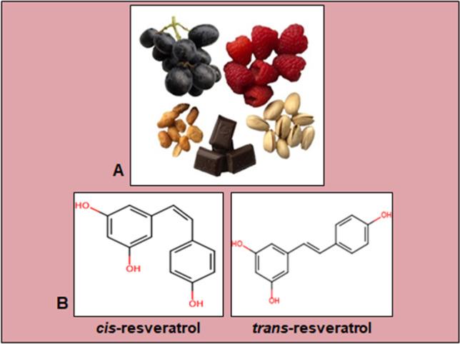 https://cdn.ncbi.nlm.nih.gov/pmc/blobs/3ed7/11016130/59b3c21d5fc9/10555_2023_10126_Fig1_HTML.jpg