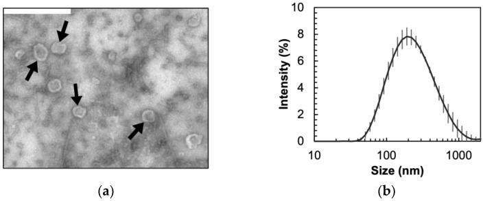 https://cdn.ncbi.nlm.nih.gov/pmc/blobs/3ed8/10813107/6bcc412a3287/biosensors-14-00045-g001.jpg