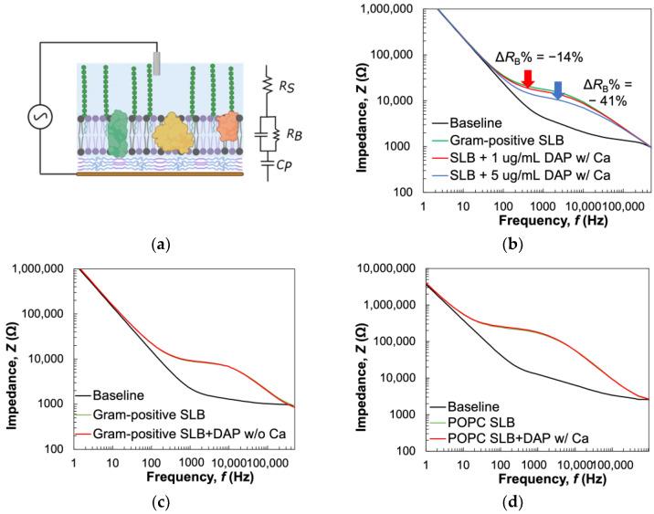 https://cdn.ncbi.nlm.nih.gov/pmc/blobs/3ed8/10813107/d6db3cacd8cc/biosensors-14-00045-g005.jpg