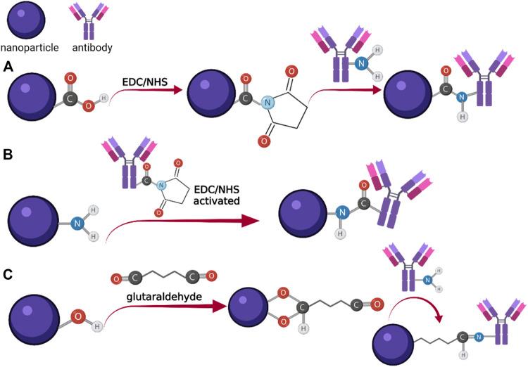 https://cdn.ncbi.nlm.nih.gov/pmc/blobs/3ed9/9237331/374c6ea614f7/fbioe-10-922772-g003.jpg