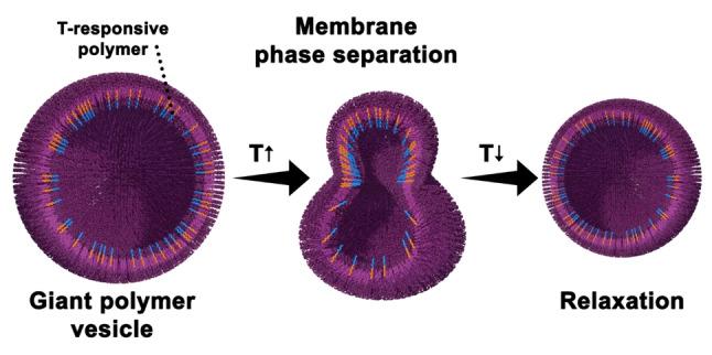 https://cdn.ncbi.nlm.nih.gov/pmc/blobs/3ed9/9804479/819a09be8385/ANIE-61-0-g006.jpg