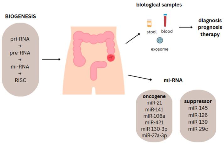 https://cdn.ncbi.nlm.nih.gov/pmc/blobs/3edc/12429582/018e2dffb58c/ijms-26-08615-g002.jpg