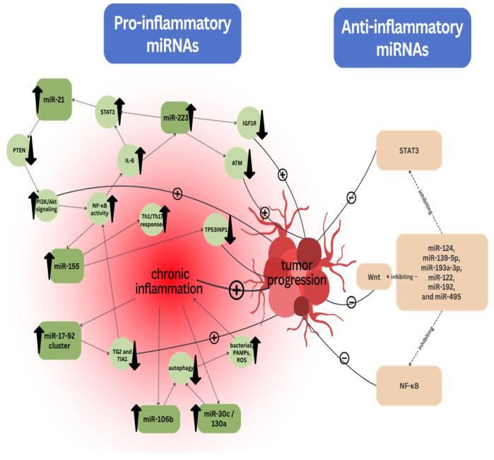 https://cdn.ncbi.nlm.nih.gov/pmc/blobs/3edc/12429582/267b78dbc190/ijms-26-08615-g001.jpg