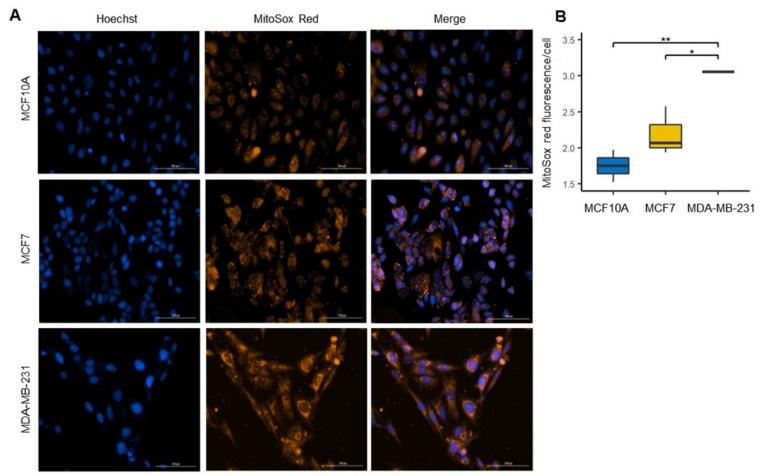 https://cdn.ncbi.nlm.nih.gov/pmc/blobs/3edc/8945677/13a9fad111f0/biomolecules-12-00379-g007.jpg