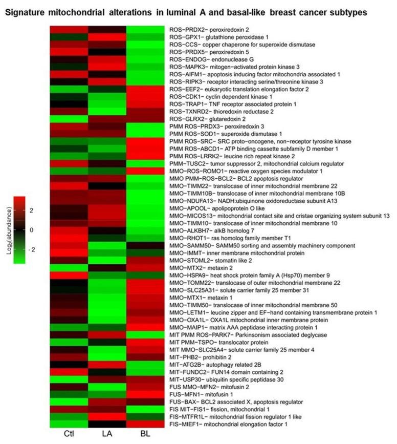 https://cdn.ncbi.nlm.nih.gov/pmc/blobs/3edc/8945677/cdd27efc6f80/biomolecules-12-00379-g009.jpg