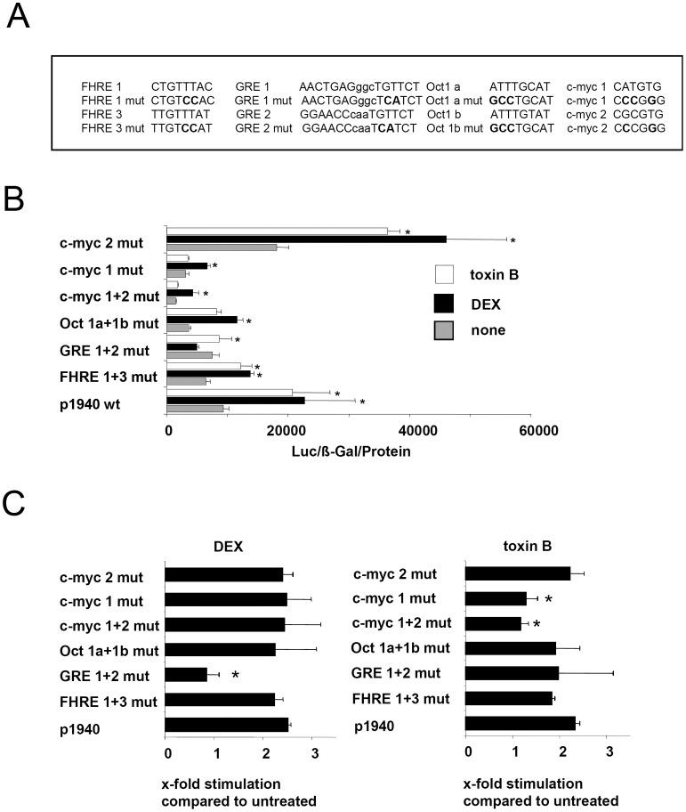 https://cdn.ncbi.nlm.nih.gov/pmc/blobs/3edd/3392236/1164a59f15b7/pone.0040730.g006.jpg