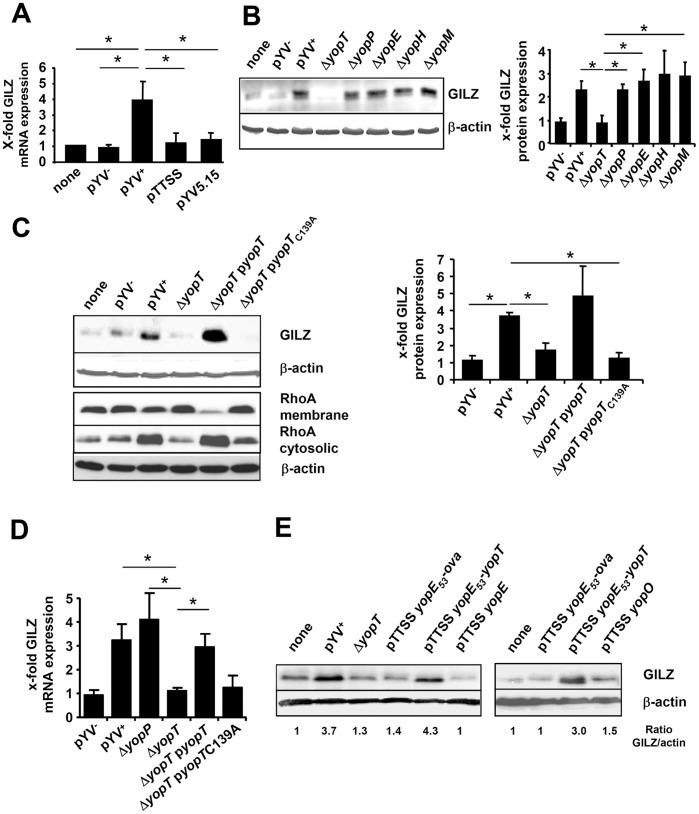 https://cdn.ncbi.nlm.nih.gov/pmc/blobs/3edd/3392236/858e6b7e48fc/pone.0040730.g002.jpg