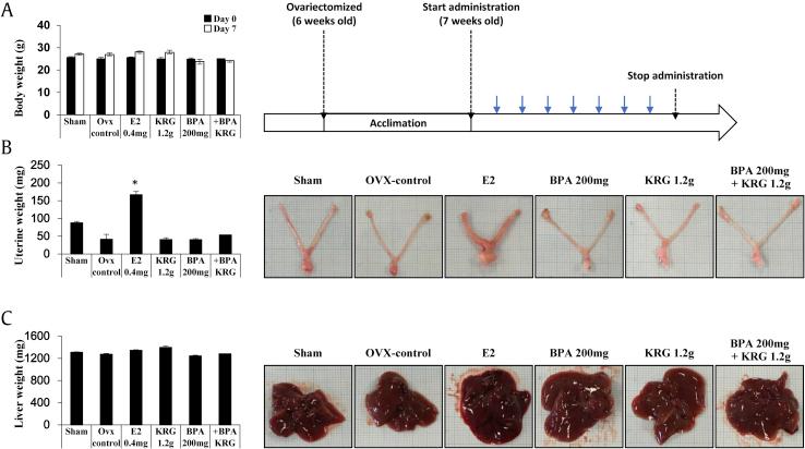 https://cdn.ncbi.nlm.nih.gov/pmc/blobs/3edd/7195581/00e9b24a84af/gr2.jpg
