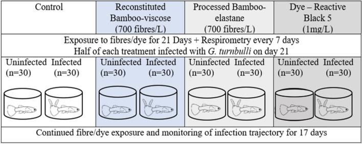https://cdn.ncbi.nlm.nih.gov/pmc/blobs/3edf/11364605/a4804766633b/11356_2024_34626_Fig2_HTML.jpg
