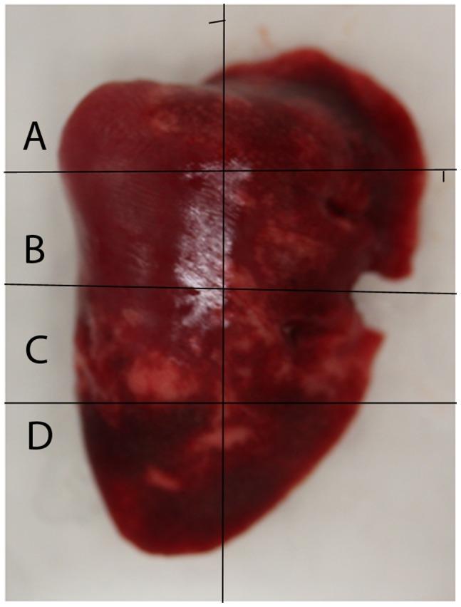 https://cdn.ncbi.nlm.nih.gov/pmc/blobs/3edf/3401186/61fe6090bc26/pone.0040094.g004.jpg