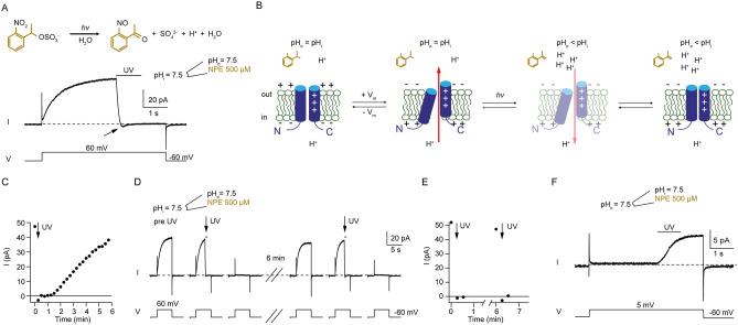 https://cdn.ncbi.nlm.nih.gov/pmc/blobs/3edf/7718894/855f4139122b/41598_2020_77986_Fig4_HTML.jpg