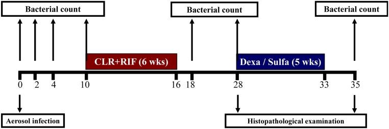 https://cdn.ncbi.nlm.nih.gov/pmc/blobs/3ee2/4583228/0deaf7d21302/pone.0139251.g001.jpg