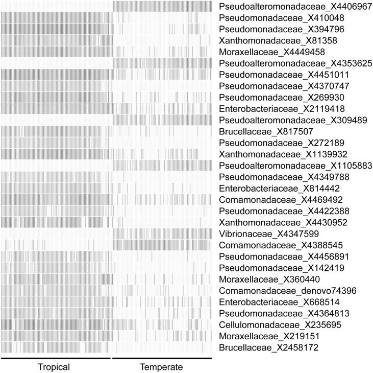 https://cdn.ncbi.nlm.nih.gov/pmc/blobs/3ee2/4621460/07675d2b704a/fmicb-06-01171-g0007.jpg
