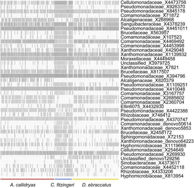 https://cdn.ncbi.nlm.nih.gov/pmc/blobs/3ee2/4621460/1782c968db0e/fmicb-06-01171-g0005.jpg