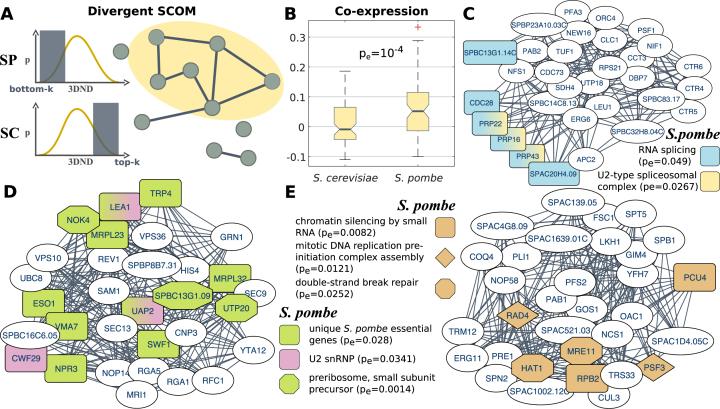 https://cdn.ncbi.nlm.nih.gov/pmc/blobs/3ee2/5416853/5e47ee8743ff/gkx205fig3.jpg