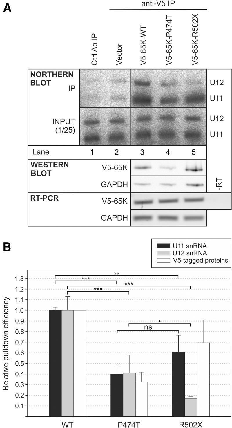 https://cdn.ncbi.nlm.nih.gov/pmc/blobs/3ee4/5824358/5ae5e9e11497/396f02.jpg