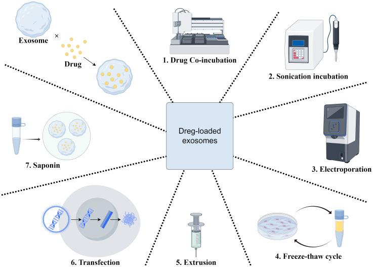 https://cdn.ncbi.nlm.nih.gov/pmc/blobs/3ee5/12380686/c50d19241706/fimmu-16-1628573-g004.jpg
