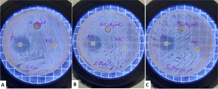 https://cdn.ncbi.nlm.nih.gov/pmc/blobs/3ee6/11872767/011cdfec702c/12011_2024_4268_Fig7_HTML.jpg