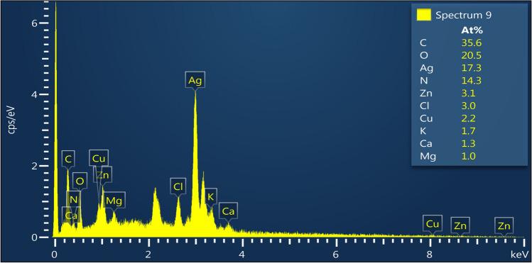https://cdn.ncbi.nlm.nih.gov/pmc/blobs/3ee6/11872767/f884b0b1e8d4/12011_2024_4268_Fig6_HTML.jpg