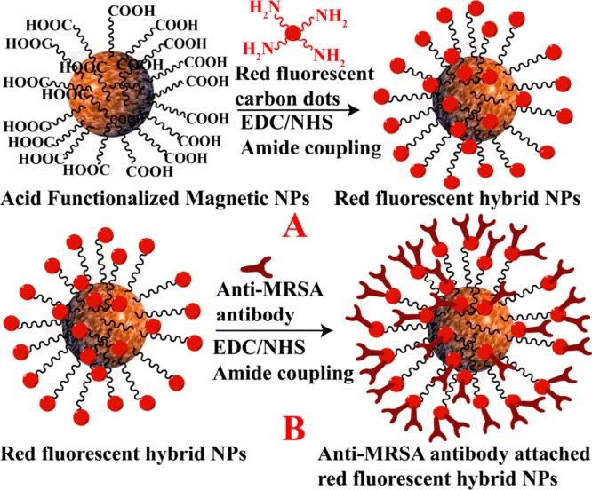 https://cdn.ncbi.nlm.nih.gov/pmc/blobs/3ee6/6644028/9d9ea00288ba/ao-2016-005184_0006.jpg