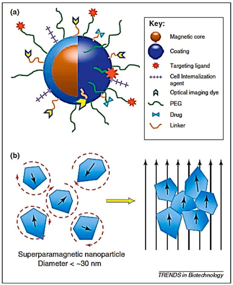 https://cdn.ncbi.nlm.nih.gov/pmc/blobs/3ee7/10637937/880306feeb08/gr7.jpg