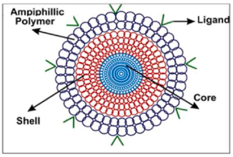 https://cdn.ncbi.nlm.nih.gov/pmc/blobs/3ee7/10637937/a5a3706c484d/gr11.jpg