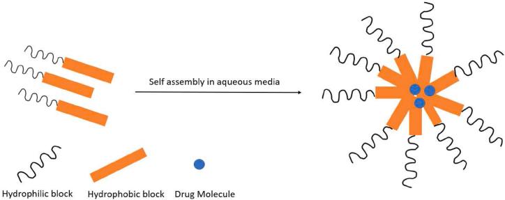 https://cdn.ncbi.nlm.nih.gov/pmc/blobs/3ee7/10637937/e7ce9d24bb44/gr4.jpg
