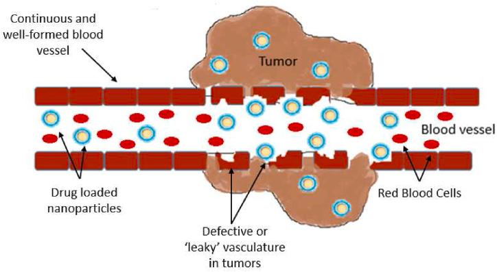 https://cdn.ncbi.nlm.nih.gov/pmc/blobs/3ee7/10637937/ff8bdcc6a5ed/gr2.jpg