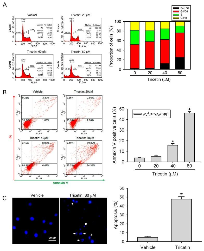https://cdn.ncbi.nlm.nih.gov/pmc/blobs/3ee7/5578057/947ec1651ecc/ijms-18-01667-g002.jpg