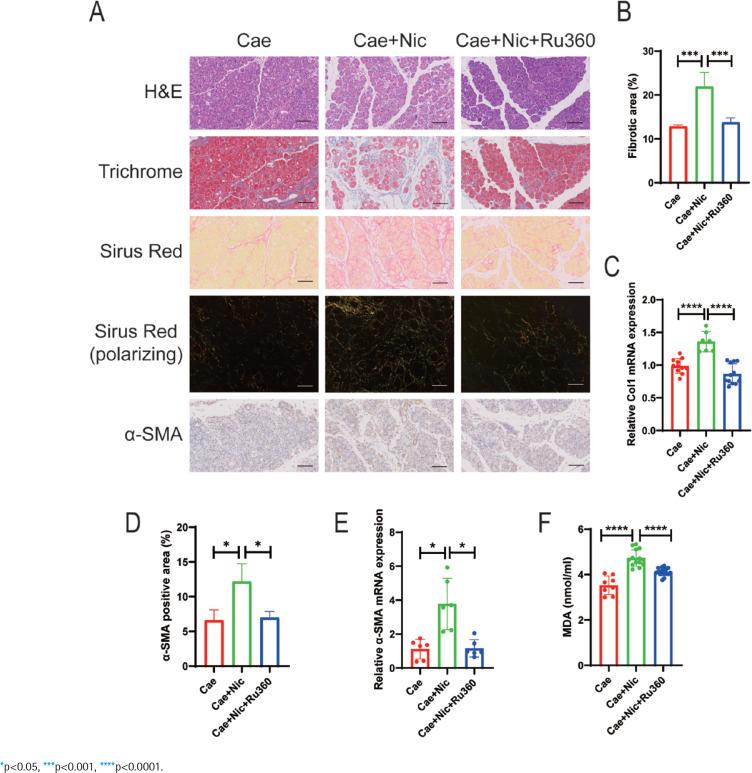 https://cdn.ncbi.nlm.nih.gov/pmc/blobs/3ee9/11057042/a714886b1f7c/TID-22-69-g004.jpg
