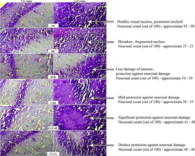 https://cdn.ncbi.nlm.nih.gov/pmc/blobs/3ee9/9887206/9b55b48140c1/f1000research-11-141508-g0009.jpg