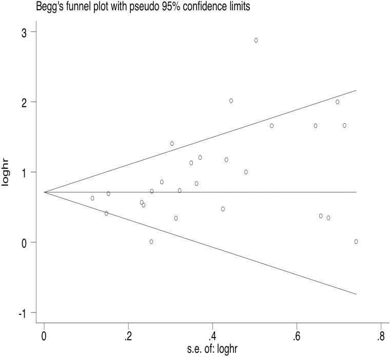 https://cdn.ncbi.nlm.nih.gov/pmc/blobs/3eea/8120176/b57c72454156/jcav12p3407g003.jpg