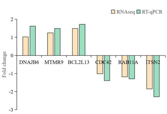 https://cdn.ncbi.nlm.nih.gov/pmc/blobs/3eea/9521048/c934c369b07d/fvets-09-1005899-g0005.jpg