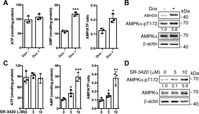 https://cdn.ncbi.nlm.nih.gov/pmc/blobs/3eeb/7949079/7e3e46782cbb/gr4.jpg