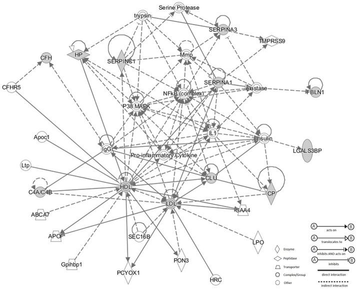 https://cdn.ncbi.nlm.nih.gov/pmc/blobs/3eec/5500640/ff4193167267/fphys-08-00472-g0006.jpg