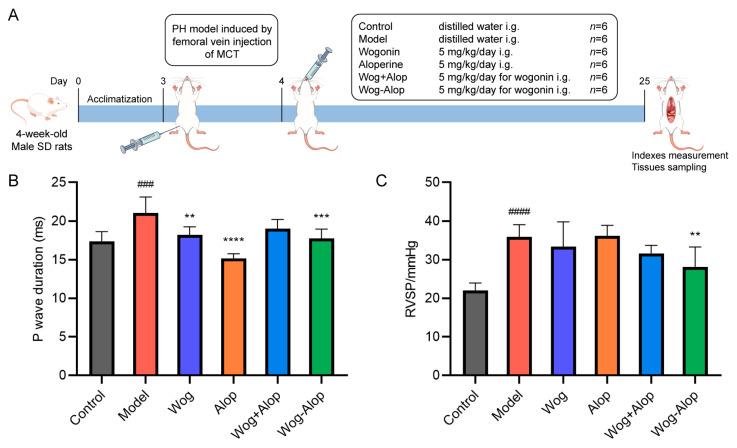 https://cdn.ncbi.nlm.nih.gov/pmc/blobs/3eed/12196166/ce27a2e0df03/pharmaceutics-17-00724-g005.jpg