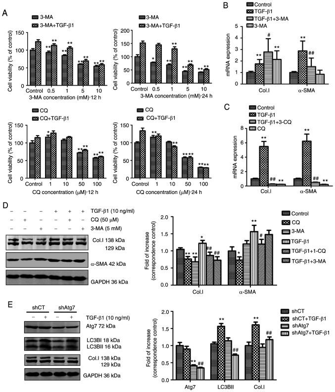 https://cdn.ncbi.nlm.nih.gov/pmc/blobs/3eee/7723502/416d97799b1b/IJMM-47-01-0256-g02.jpg