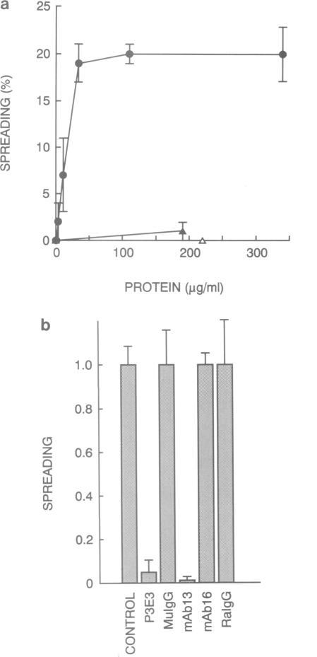 https://cdn.ncbi.nlm.nih.gov/pmc/blobs/3eef/453158/81b10ce3c3b6/emboj00111-0108-a.jpg