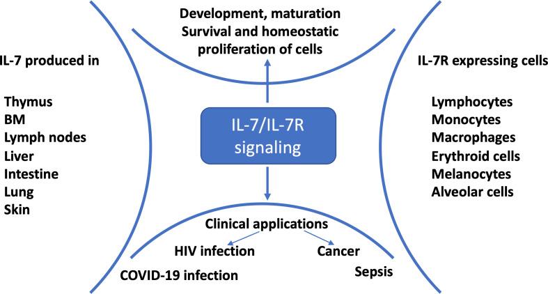https://cdn.ncbi.nlm.nih.gov/pmc/blobs/3eef/8484798/3665d6b40b2f/fimmu-12-737406-g001.jpg