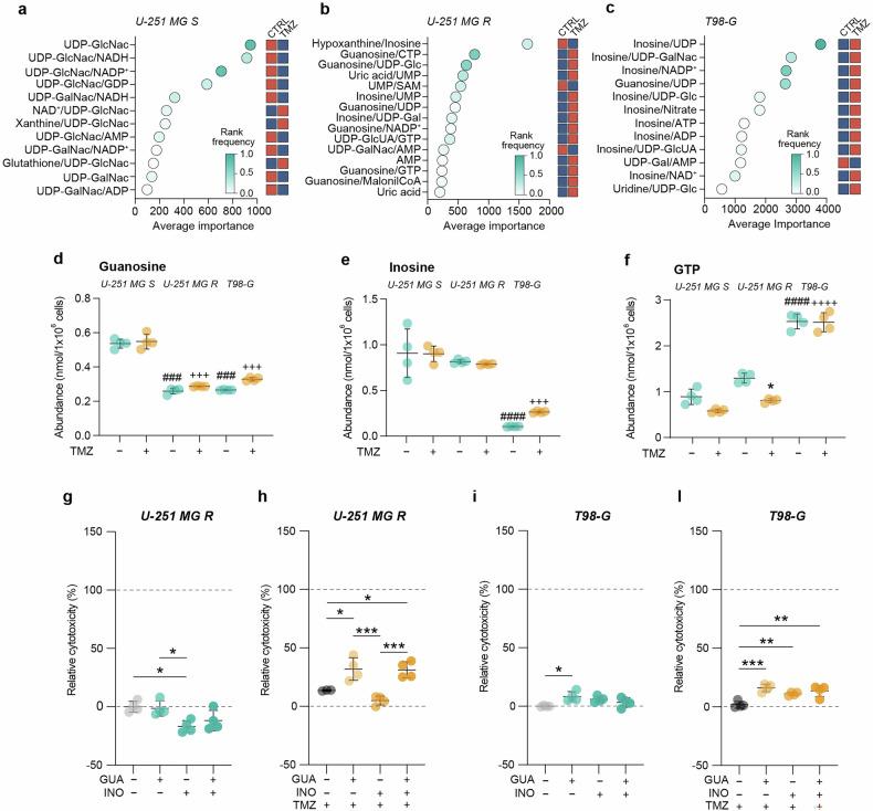 https://cdn.ncbi.nlm.nih.gov/pmc/blobs/3ef3/12022057/1f8f7ca6fcc4/41419_2025_7667_Fig3_HTML.jpg