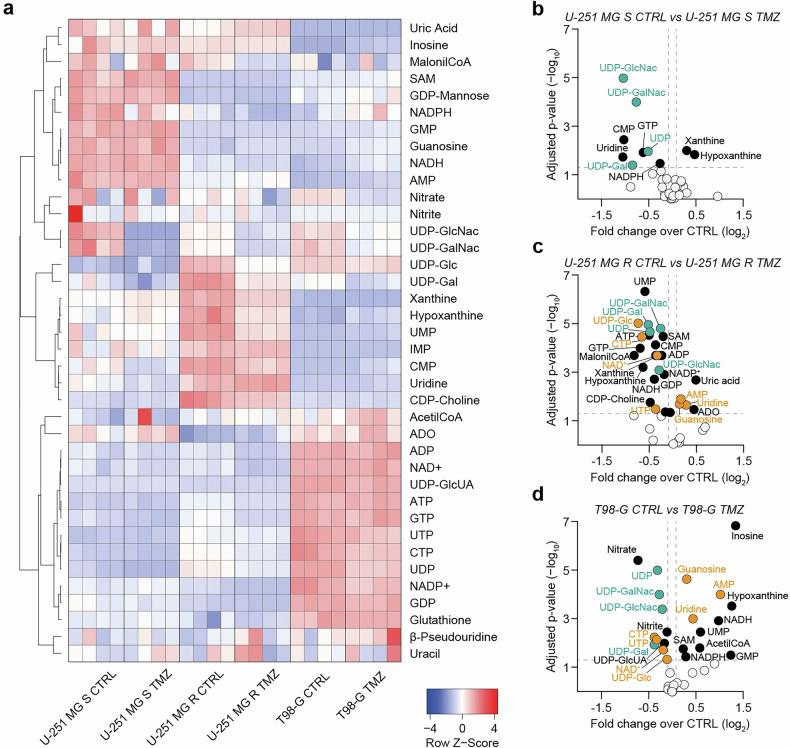 https://cdn.ncbi.nlm.nih.gov/pmc/blobs/3ef3/12022057/47c087f0fde9/41419_2025_7667_Fig2_HTML.jpg