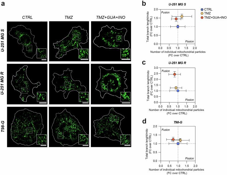 https://cdn.ncbi.nlm.nih.gov/pmc/blobs/3ef3/12022057/9d521439537f/41419_2025_7667_Fig6_HTML.jpg