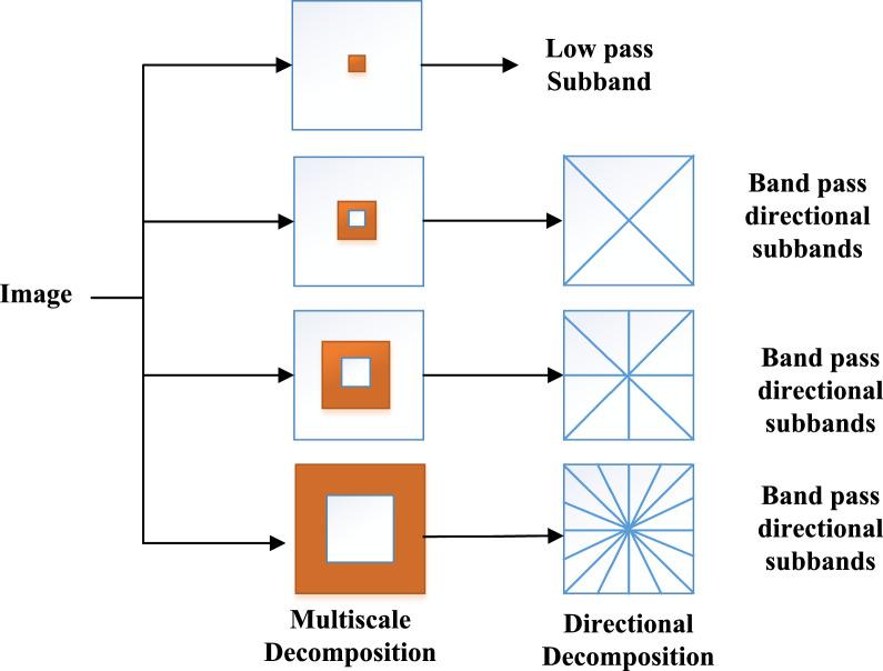 https://cdn.ncbi.nlm.nih.gov/pmc/blobs/3ef3/7524980/033a1c969868/13755_2020_116_Fig3_HTML.jpg