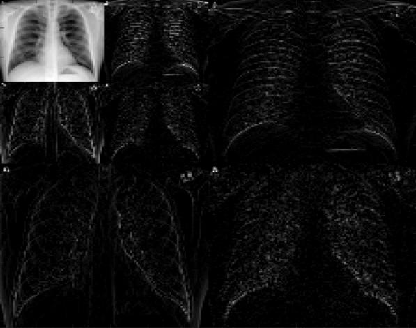 https://cdn.ncbi.nlm.nih.gov/pmc/blobs/3ef3/7524980/146227f13b89/13755_2020_116_Fig6_HTML.jpg