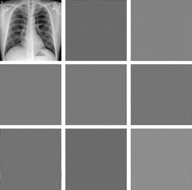 https://cdn.ncbi.nlm.nih.gov/pmc/blobs/3ef3/7524980/173884506ed5/13755_2020_116_Fig7_HTML.jpg