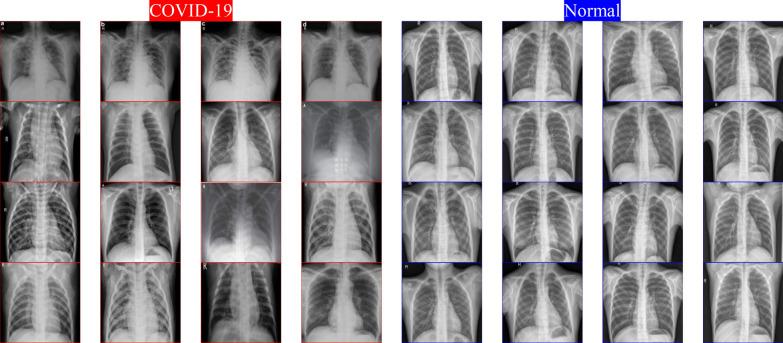 https://cdn.ncbi.nlm.nih.gov/pmc/blobs/3ef3/7524980/8b730207472c/13755_2020_116_Fig5_HTML.jpg